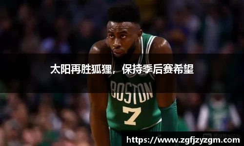 太阳再胜狐狸，保持季后赛希望