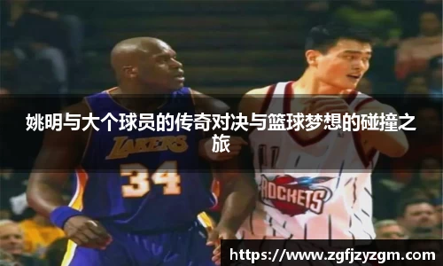 姚明与大个球员的传奇对决与篮球梦想的碰撞之旅
