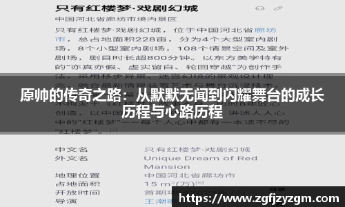 原帅的传奇之路：从默默无闻到闪耀舞台的成长历程与心路历程