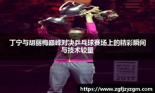 丁宁与胡丽梅巅峰对决乒乓球赛场上的精彩瞬间与技术较量